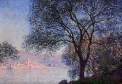 antibes_seen_from_the_salis_gardens_3.jpg
