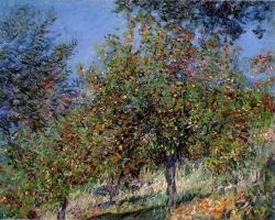apple_trees_on_the_chantemesle_hill.jpg