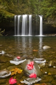 cascada_con_hojas_fuxias_muralesyvinilos_26473090__XXL.jpg