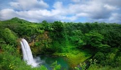 cascada_en_selva_muralesyvinilos_10075200__XXL.jpg