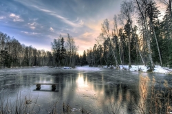 Fotomural