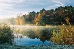 Fotomural