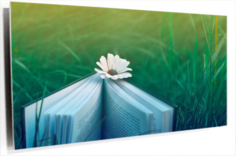 cartoon-wallpaper-22.jpg