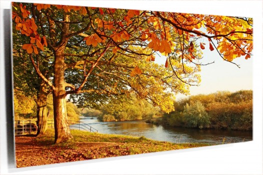 cartoon-wallpaper-22.jpg