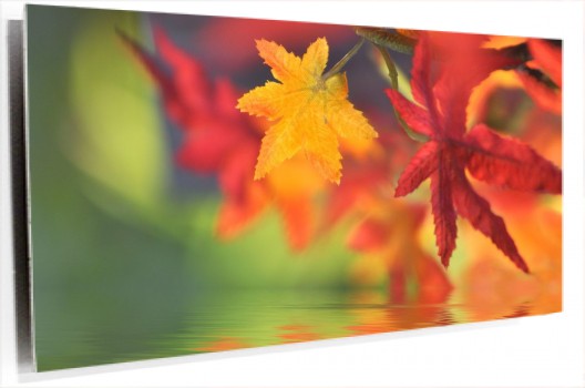 cartoon-wallpaper-22.jpg