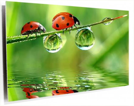 cartoon-wallpaper-22.jpg