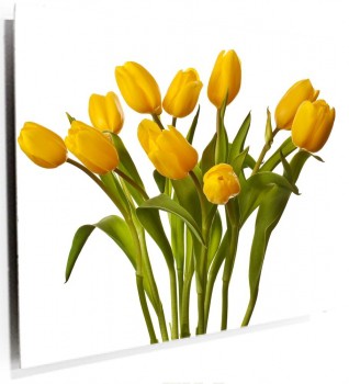 tulipanes_amarillos_muralesyvinilos_62722957.jpg