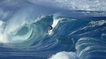  Murales Blue Wave Surfing 