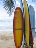  Murales Tablas surf