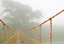  Murales Viaje por la jungla con niebla