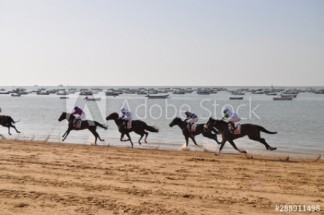  Murales Carrera del caballos en la playa