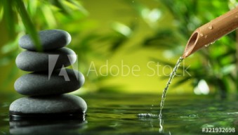  Murales Agua en bambu y piedras negras