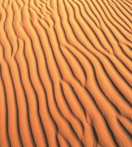  Murales dunas naranjas