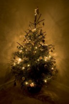 árbol_de_navidad_fondo_dorado